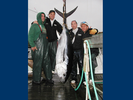 Fishing Gallery