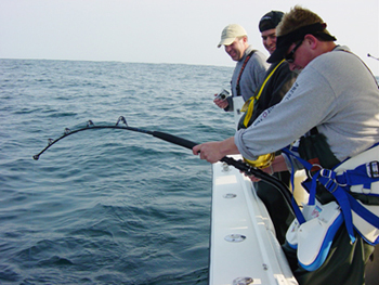 Fishing Gallery